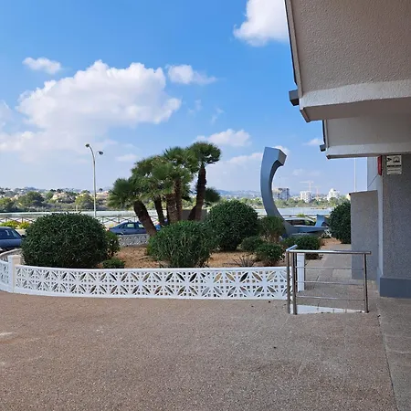 Olivo * Ifach